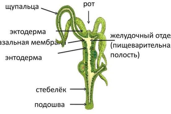 Кракен маркет даркнет speed up