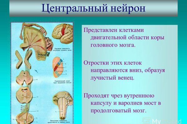 Проверенная ссылка кракен